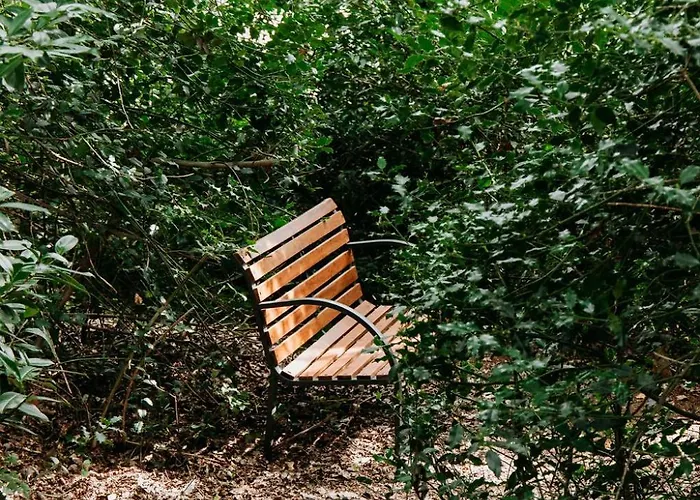 Villa Bungalowvilla Robin Hill, Met Bostuin & Design Interieur Haelen