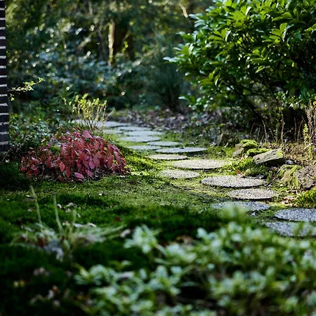 Bungalowvilla Robin Hill, Met Bostuin & Design Interieur